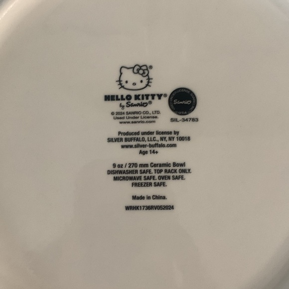 New Hello Kitty Pumpkin Spice Fall 10.5" Large Ceramic Set Of 2 Dinner Plates - Picture 7 of 7